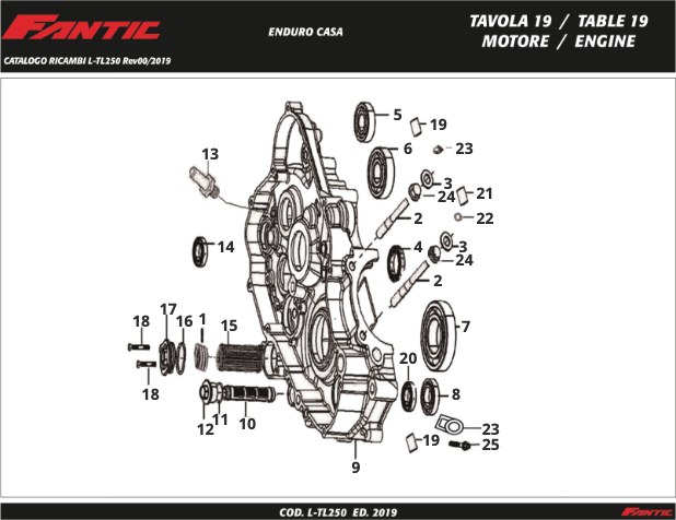 gThkyGcgPw_19 - Moteur (TL250 UK - Enduro Casa - MY2018).png